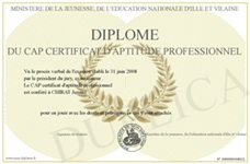 Exemplo de certificado de aptidão profissional francês